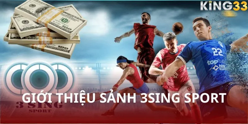 Giới thiệu sảnh 3Sing Sport