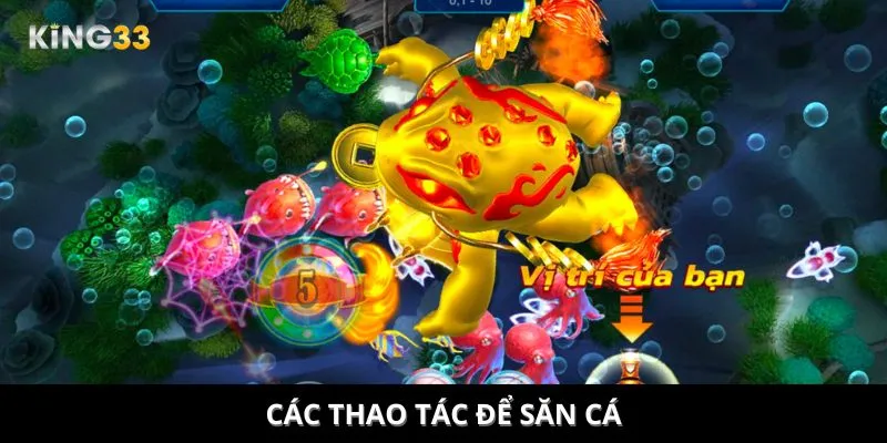 Các thao tác để săn cá