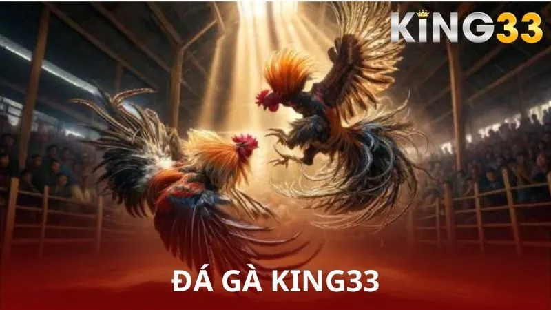 đá gà KING33