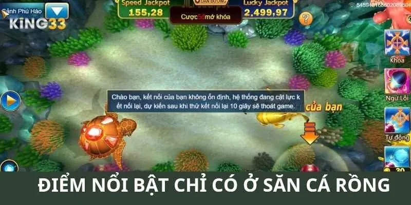 Điểm nổi bật chỉ có ở săn cá rồng