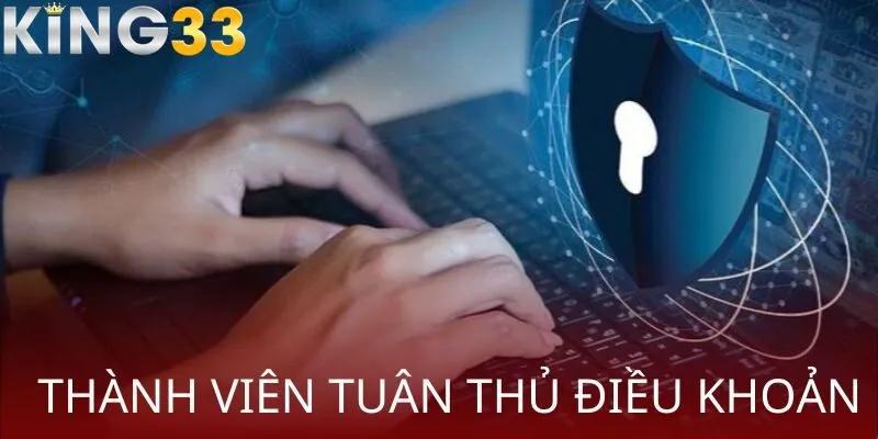 Thành viên cần tuân thủ các điều khoản tại nhà cái