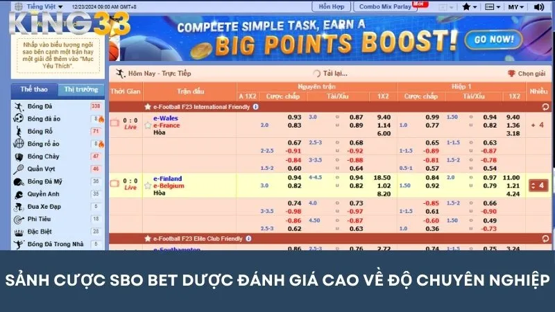 Những trò chơi cá cược được tổ chức tại nền tảng SBO được đánh giá cao về độ chuyên nghiệp