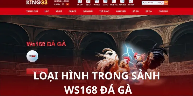 WS168 Đá Gà - Tổng hợp các hình thức thi đấu đặc sắc