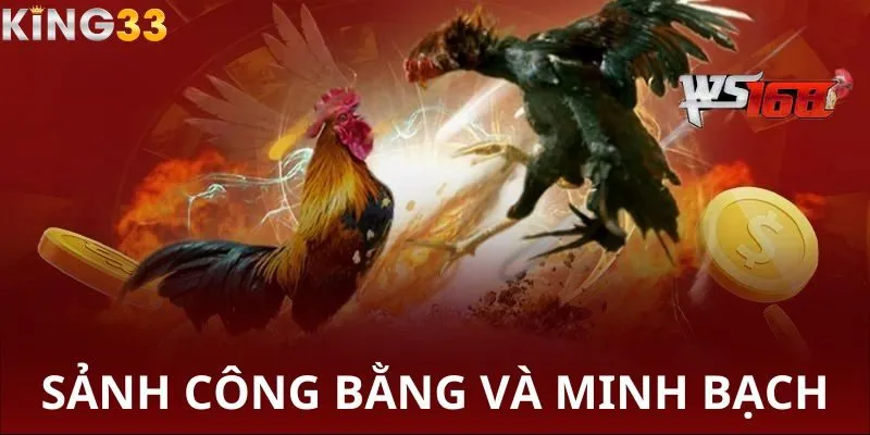 Đảm bảo sự minh bạch và công lý